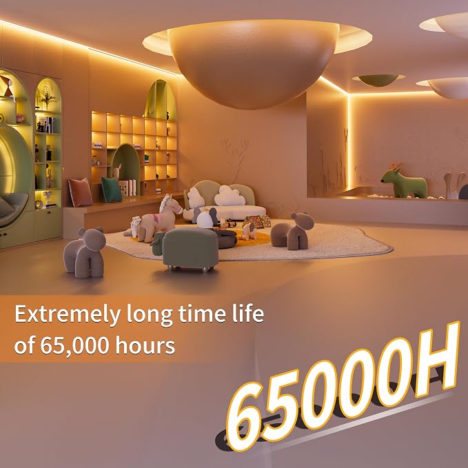 PAUTIX COB LED Strip Light 2700K,16.4ft Dimmable 2520LEDs DC24V Warm White LED Strip Lights,High Lumen Tape Lights Kit with RF Remote Timer Function and 48W Power Supply for Home, Kitchen DIY Lighting