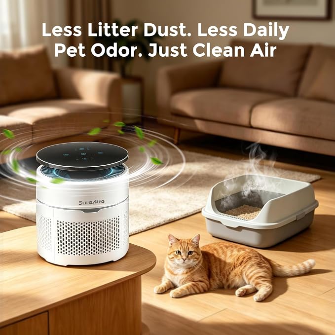 Small Desktop Air Purifier with HEPA Filter for Home and Office, Large Touch Display with Filter Indicator, Timer, Sleep Mode, Covers up to 250 Sq.Ft