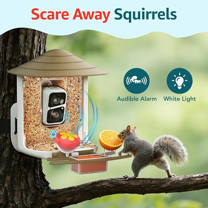 birdsnap® TUC Bird Feeder with Camera 2K HD Live with 32GB Card Auto Detect & Notify AI Identify Camera Birds Feeders Solar Powered Wireless Outdoors Backyard Gift for Mom Dad Birds Lover, 2.4G WiFi