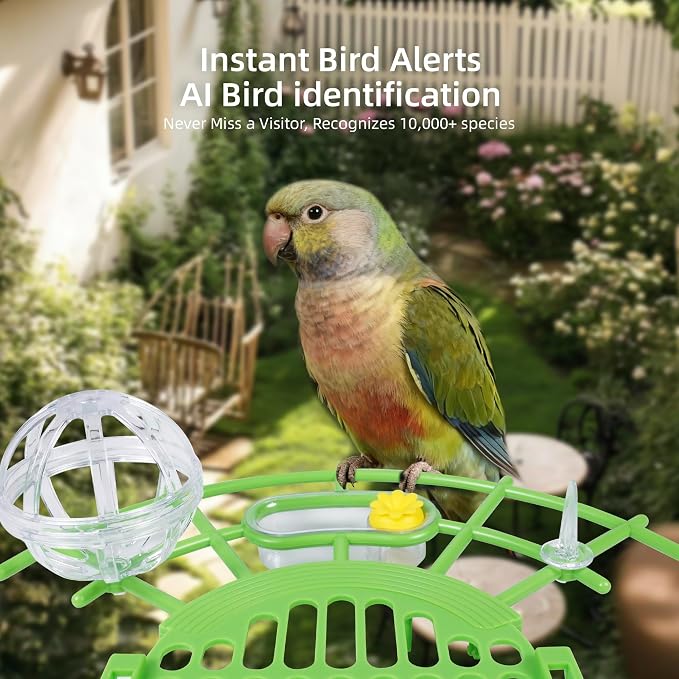 Bird Feeder with Camera,AI Identify Birds Species,2K HD Day/Night Live Stream,Solar Powered 5200mAh Battery,1.8L Hopper, Auto Record Videos, Instant Notifications,Ideal Gift for Family and Bird Lovers