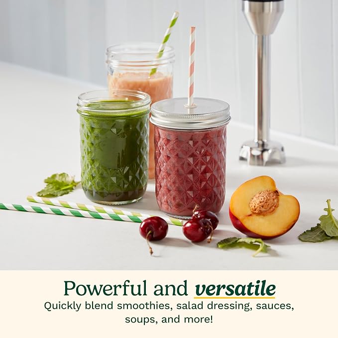 Cuisinart CSB-179 Smart Stick Variable Speed Hand Blender, Stainless Steel