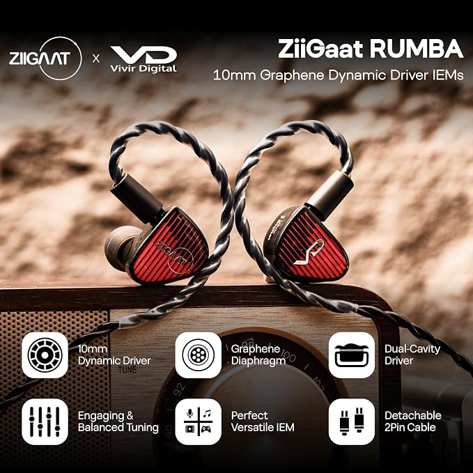 Linsoul ZiiGaat x Vivir Digital: Rumba 10mm Graphene DD Driver IEM Earphones, HiFi Wired Earbuds with Powerful Sub Bass, Detachable 2-Pin Cable for Audiophile, Gaming, Music & Stage (Without Mic)