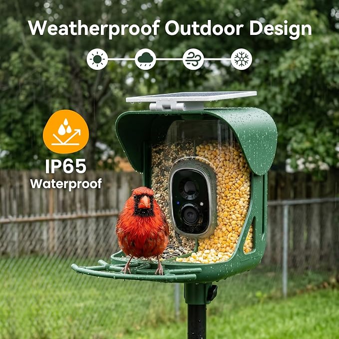 Smart Bird Feeder with Camera, AI Identify Birds Species, 2K HD Color Night Vision, IP65 Waterproof Solar Powered Bird Feeder with 142° Wide Angle, Auto Capture & Real-Time Notifications, Ideal Gift