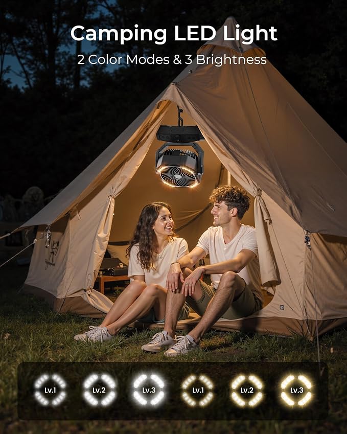8” Portable Rechargeable Fan, Battery Operated Camping Fan with 27H Work Hours, Remote, Auto Oscillation, Timer, Hook for RV Tent Hurricane Emergency Black