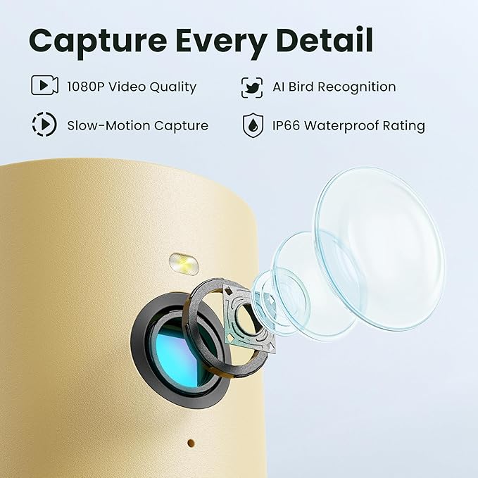 Birdfy Smart Bird Feeder with Camera for Rookie, Camera Bird Feeder Dual Night Vision, AI Recognition IP66 Waterproof for BirdLovers