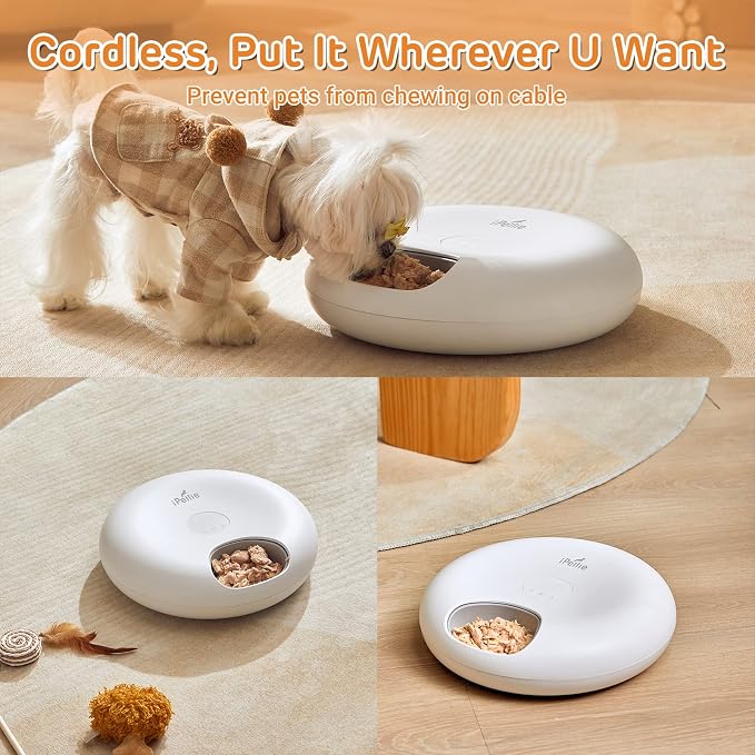 iPettie Donut Frost 6 Meal Cordless Automatic Pet Feeder, Dry & Wet Food Automatic Cat Feeder with Two Ice Packs, Rechargeable Massive Battery, Programmable Timer, Classic White