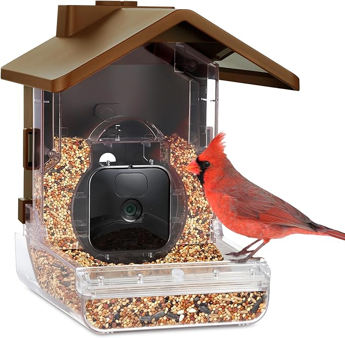 Wasserstein Bundle - Bird Feeder Camera Case & Black Solar Panel (2W 5V) Compatible with Ring Stick Up Cam Battery (Camera NOT Included)