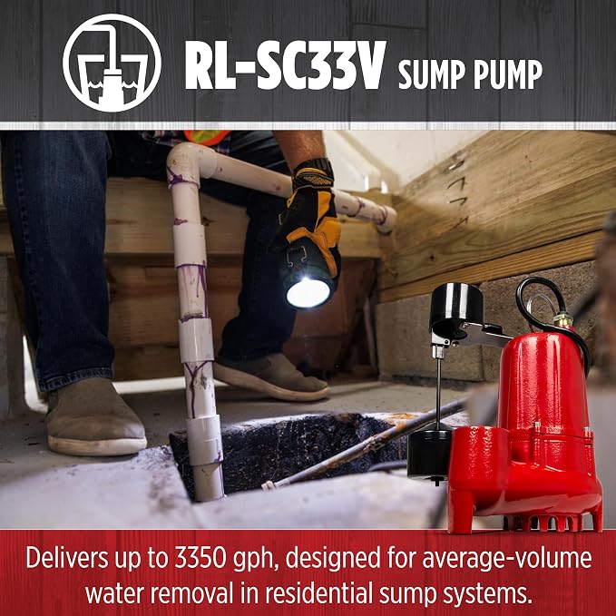 Red Lion 1/3 Hp Cast Iron Sump Pump