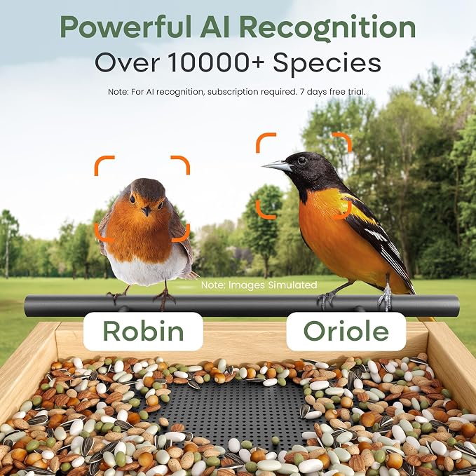 Adomii Bird Feeder with Camera, 2.4L Solar Powered Birdfeeder with AI Bird Identification & Alerts, Squirrel-Proof & Weatherproof, Adomii Window Bird Feeder with Double Bin, 1080p HD Live Camera