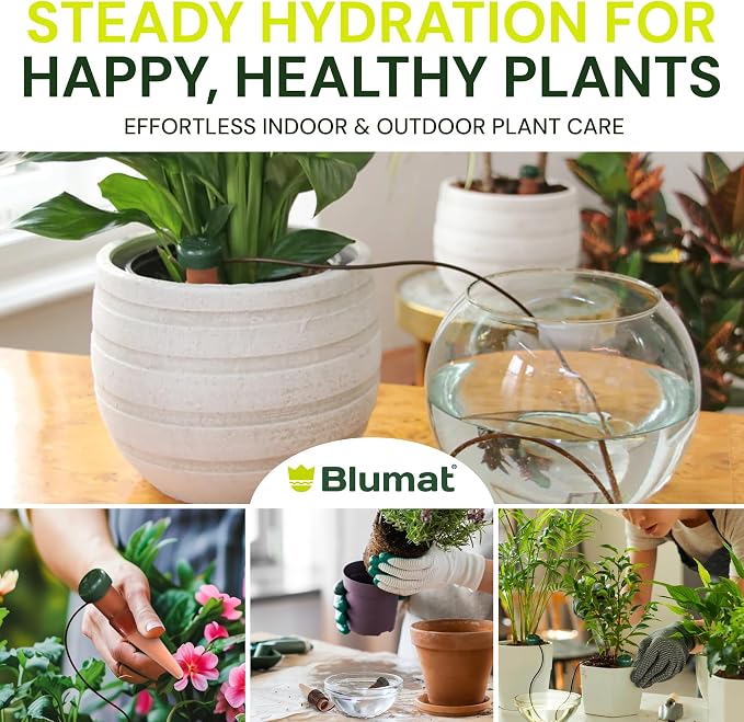 Blumat Classic Self-Watering Stakes - Prevents Overwatering and Underwatering for Healthy Growth While You are Away - Ideal for Indoor Plant Watering, 6 Pack, w Adapter