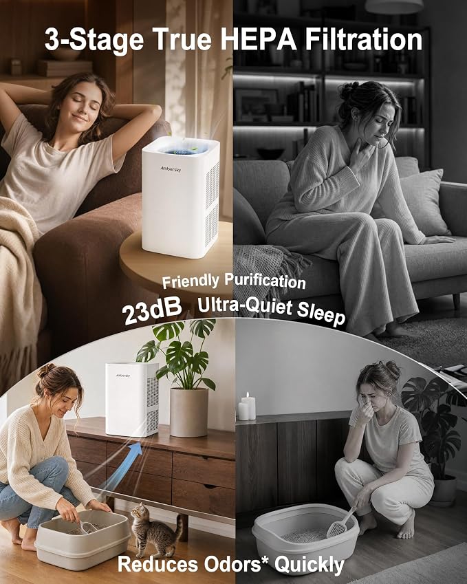 Ambersky Air Purifier for Home, True HEPA Filter for Large Room Up To 2500 Sq Ft, Sleep Mode, 5 Fan Speeds, 360° Air Cleaner for Pet Hair, Smoke, Dust, Odor