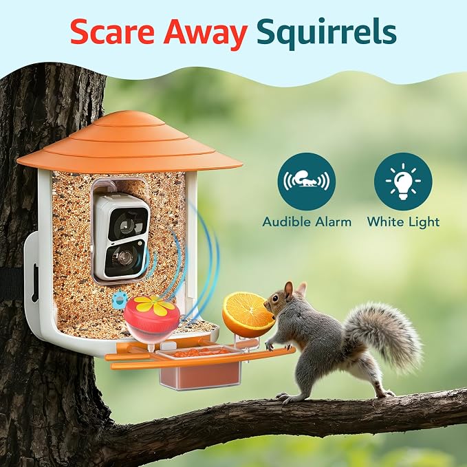 birdsnap® TUC Bird Feeder with Camera 2K HD Live with 32GB Card Auto Detect & Notify AI Identify Camera Birds Feeders Solar Powered Wireless Outdoors Backyard Gift for Mom Dad Birds Lover, 2.4G WiFi