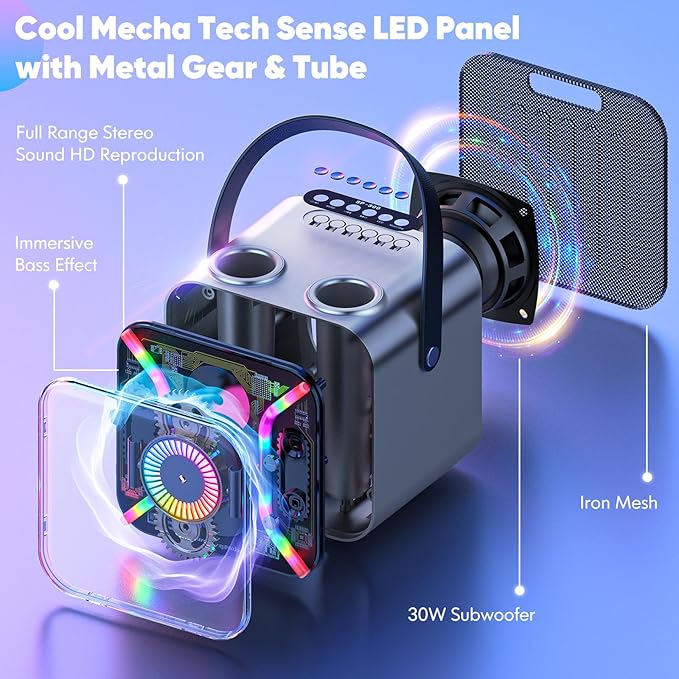Karaoke Machine for Adults with Two Wireless Microphones, Bluetooth Speaker, LED Light Show, 360-Degree Stable Bass Mic, Silver