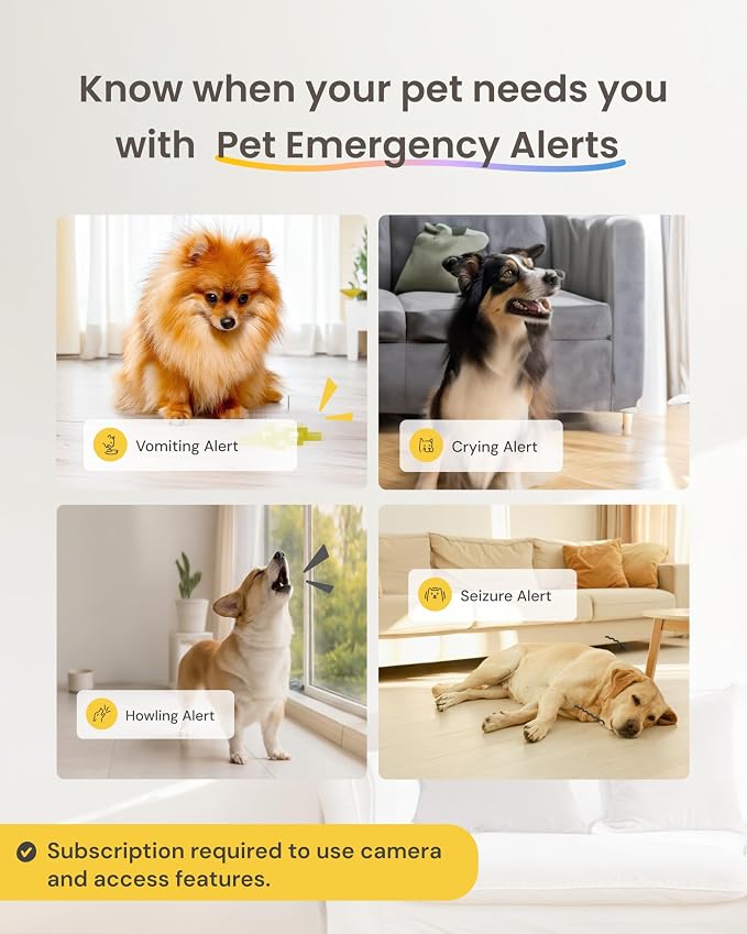 Furbo 360° Dog Camera + Mini 360° Cam [New Subscription Required at Setup] 2-Camera Bundle Nanny Subscription: Dog Safety Alerts, Pet Camera with Speaker, Phone App & Night Vision