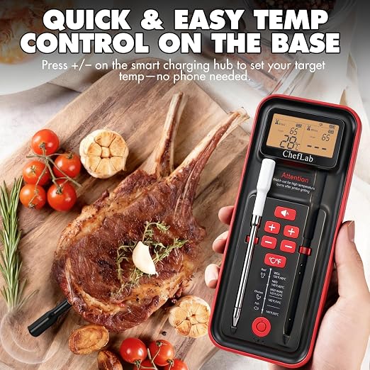 Meat Probe Thermometer Wireless with Standalone LED Display: 500FT Bluetooth, Dual Probe, No Phone or App Needed, Gift for Grillers, Smoker, BBQ Grill, Oven, Rotisserie, Air Fryer