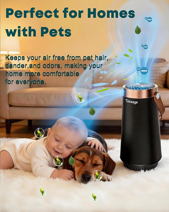 Small Ionic Air Purifier for Bedroom & Home– Silent HEPA Filter – Covers 250 Sq Ft - Free Cleaner for Pets, Hair, Smoke, Dust, Scent & Dander – Rechargeable Design with Ozone Generator