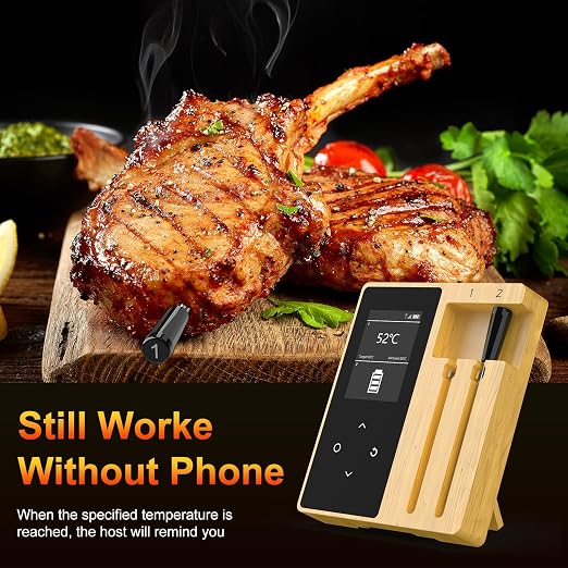Wireless Meat Thermometer with 2 Ultra-Thin Probes, Bluetooth Digital Food Thermometer 600FT Remote Range, Standalone Smart Base for Grill Smoker Roast Oven, Cooking