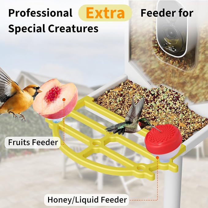GarveeLife Smart Bird Feeder with 2K Camera & AI Recognition - Solar Powered, 2l Capacity, Night Vision, App Alerts, Auto Capture Photos/Videos for Bird Watching