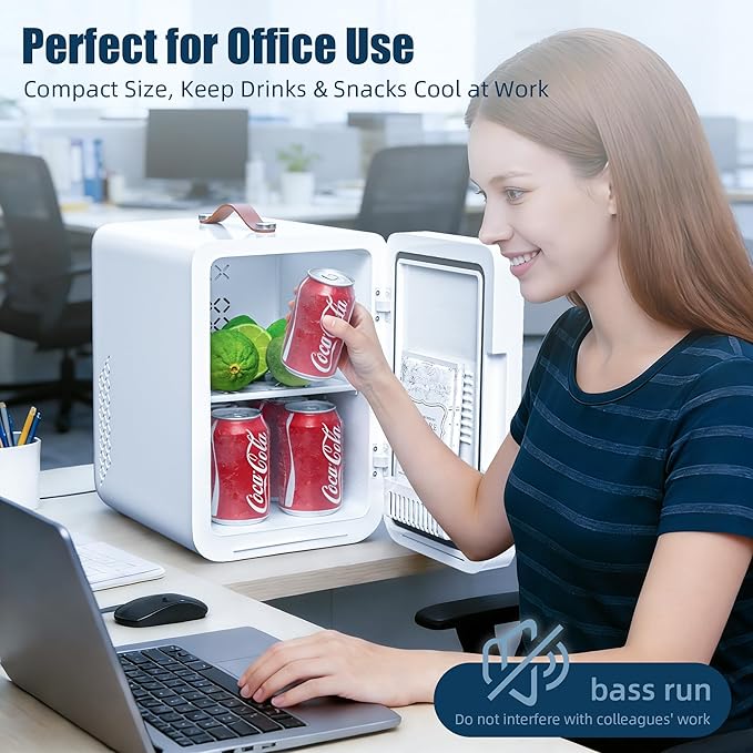 6L Mini Fridge with 3-Level Dimmable LED Mirror, Cooling & Warming, AC/DC Portable Skincare Fridge for Dorm, Car, Office