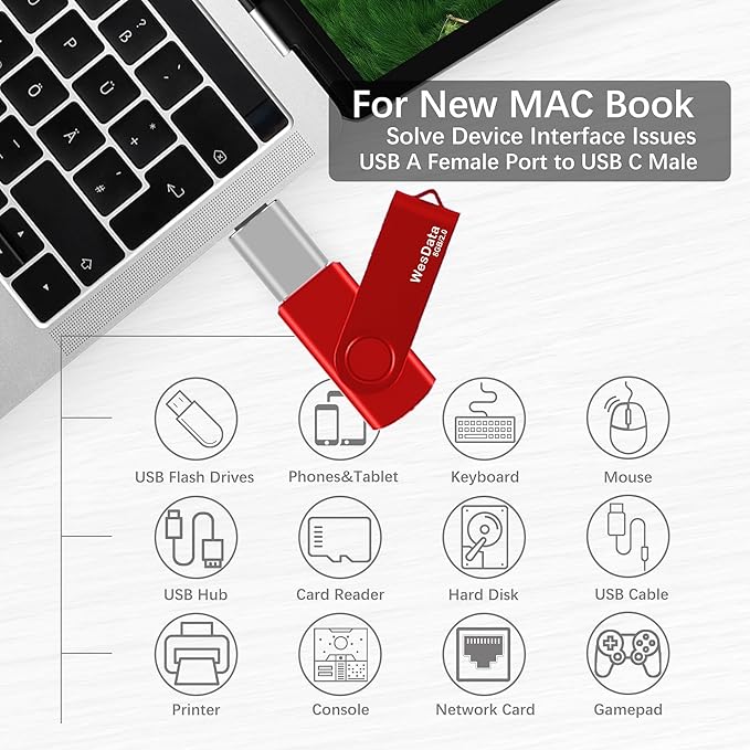 2 Pack 8GB USB 2.0 Flash Drive and 1 USB C Adapter, Thumb Drive USB Memory Stick Jump Drive, Compatible with OTG Type C Phones, Tablets, Laptop, PC (Blue, Red)