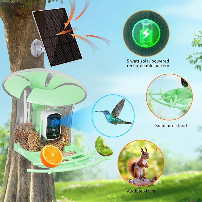 Smart Bird Feeder with Camera, Solar Powered 3 L Capacity, 2K HD AI Identify Bird Species, Weatherproof Auto Video Recording, Real-Time Alerts, Ideal Gift for Tech Lovers and Parents (Green)