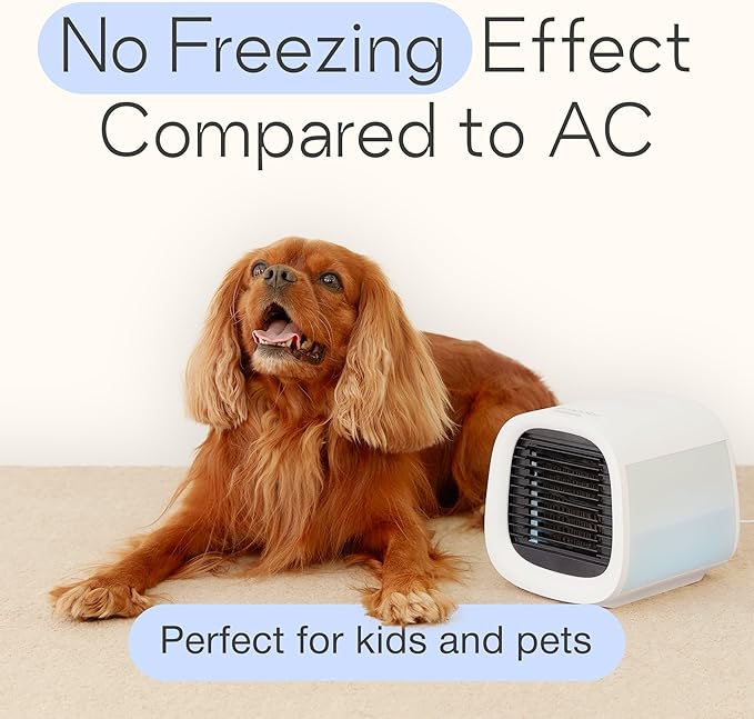 Evapolar evaCHILL Portable Air Conditioners - Portable AC Unit - Small Personal Evaporative Air Cooler & Fan for Desk, Office, Car, Camping, Grey