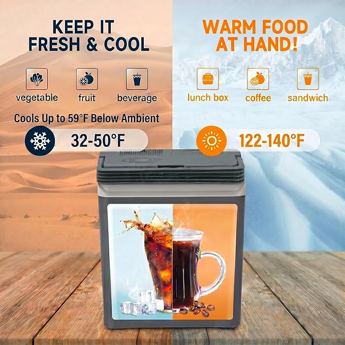 SubSun 27 Quart Electric Cooler and Warmer with Handle, 25L Portable Thermoelectric Fridge for Vehicles & Trucks, 12 Volt Car Fridge Cooler with 12V DC & 110 AC for Camping, Travel & Picnics, Grey
