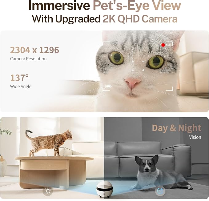 Enabot EBO ROLA Mini Pet Camera Robot: 2K FamilyBot Mobile Home Companion | Whole-Home Mobility, Two-Way Talk, Night Vision, Long Battery Life, Local Storage, Long Distance Gift