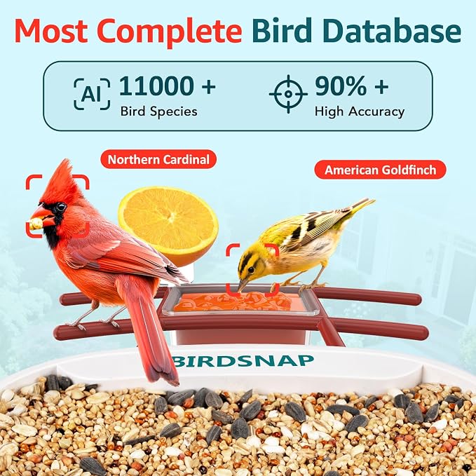 birdsnap® TUC Bird Feeder with Camera 2K HD Live with 32GB Card Auto Detect & Notify AI Identify Camera Birds Feeders Solar Powered Wireless Outdoors Backyard Gift for Mom Dad Birds Lover, 2.4G WiFi