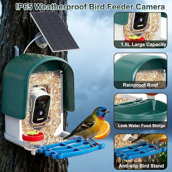 Smart Bird Feeder with Camera Solar Powered, Green | AI Bird Identification for 10000+ Species, 4K HD Live Video & Instant Alerts, 2.4GHz WiFi, IPX7 Waterproof