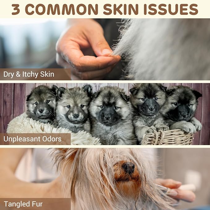 Buy FW54 WiFi Automatic Feeder with Pet Shampoo, Cozy Scent