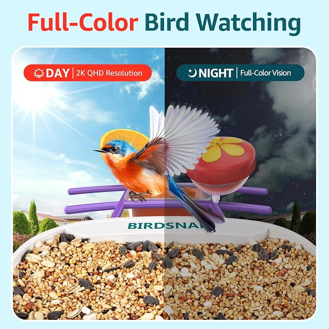 birdsnap® TUC Bird Feeder with Camera 2K HD Live with 32GB Card Auto Detect & Notify AI Identify Camera Birds Feeders Solar Powered Wireless Outdoors Backyard Gift for Mom Dad Birds Lover, 2.4G WiFi