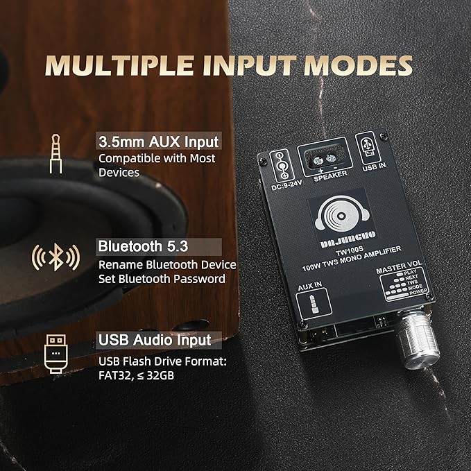 TW100S Mono Bluetooth Amplifier Board with TWS, 100W Vehicle Audio Amplifier with TPA3116, Wide Voltage Input 9-24V, Supports USB/AUX/Bluetooth Input