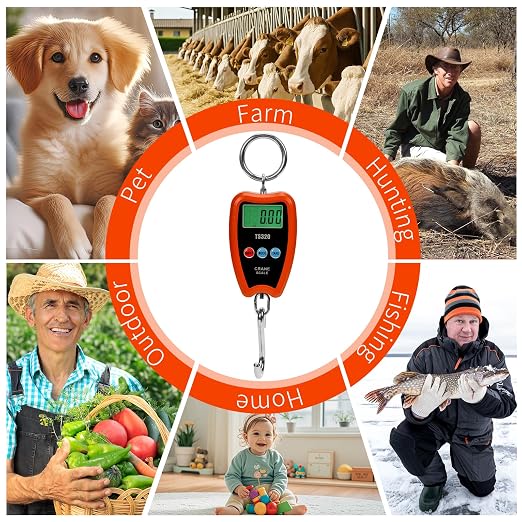 Digital Crane Scale 300kg/660lbs 200kg/440lbs with LED Handheld Mini Hanging Scale for Garage Farm Hunting Fishing Etc(200kg/Plastic Shell/Orange)