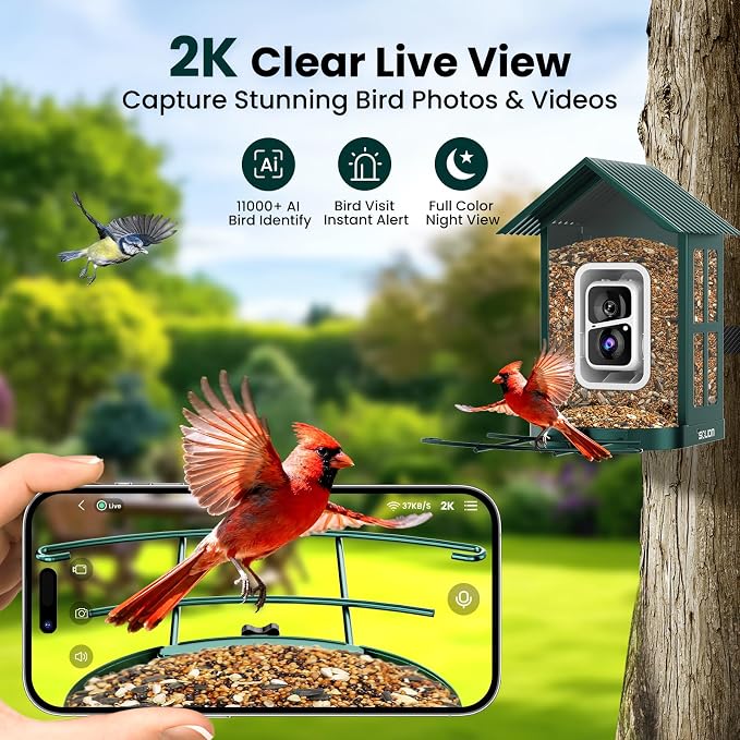 SOLIOM Bird Feeder with Camera, Solar Smart Bird Feeder Camera with AI Bird Identification, 2K HD Live View & Instant Alerts, Squirrel-Proof Metal Outdoor Bird Feeder, Bird Watching Gift Set (Green)