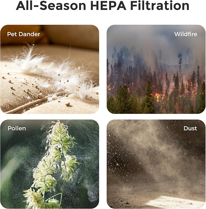 Small Desktop Air Purifier with HEPA Filter for Home and Office, Large Touch Display with Filter Indicator, Timer, Sleep Mode, Covers up to 250 Sq.Ft