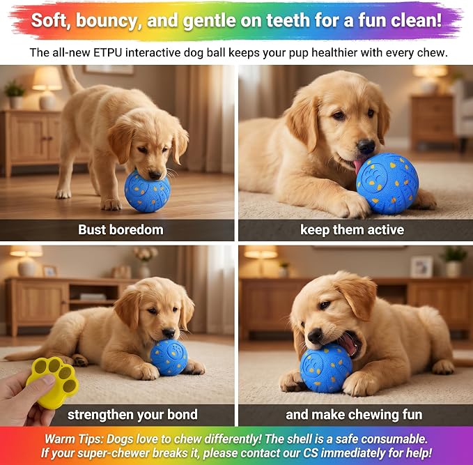 TEYYVN Interactive Dog Toys Dog Ball – Smart Moving Bouncing Dogs Ball, E-TPU Smart Dog Ball with Remote Control, Automatic Rolling Dog Toy for Small Medium Dogs for Indoor/Outdoor Use （Blue）
