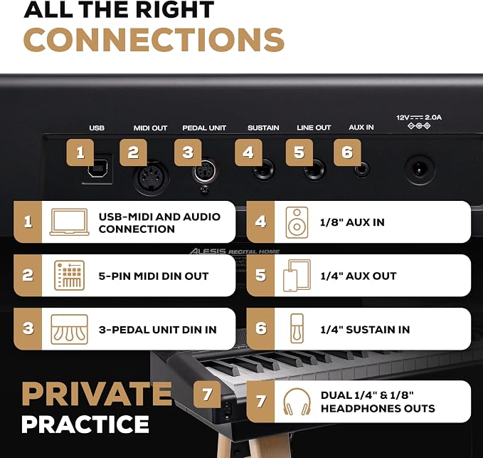 Alesis Recital Home Digital Piano with 88 Hammer Action Weighted Keys, Stand, Pedals and Lessons, Black