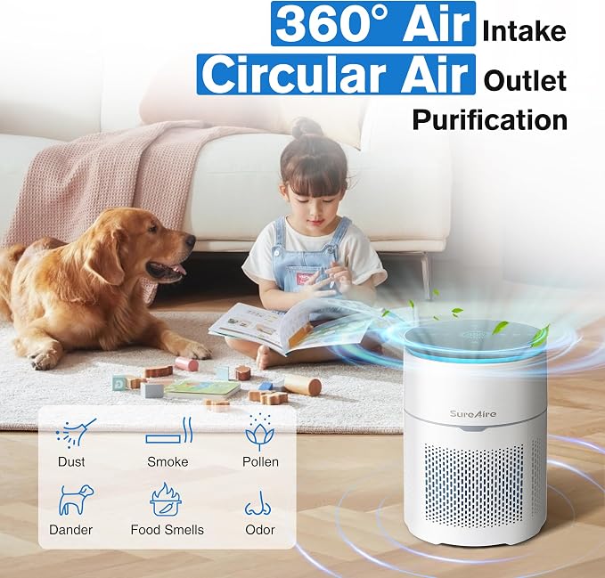 Desktop Air Purifier for Home Office, HEPA Filter for Smoke, Pet Hair - Auto Mode, Low-noise Sleep Mode, Adjustable Light, Compact Design