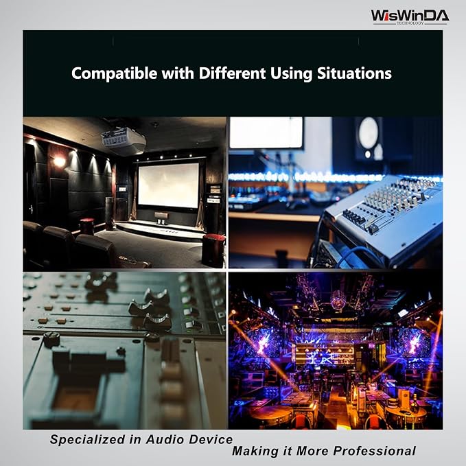 Pro X4 Multi-Purpose 2Channels XLR/RCA/AUX/TS/TRS Passive Hum Eliminator Box for Audio Equipments Ground Loop Isolator Noise Filter for Different Audio Systems Using