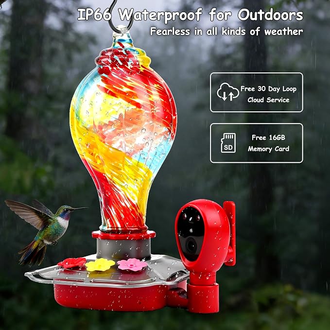 2K Solar Powered Hummingbird Feeder with Camera, AI Identify, Water Monitoring, Instant App Alert, Auto Recording, TF Card Included, Leak-Proof Ant & Bee Proof Outdoor Bird Feeder
