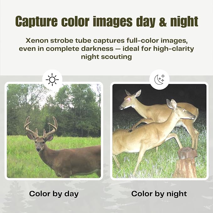 Cuddeback CuddeLink Strobe (2-Pack) LL-1A (L-Series) Cellular Trail Camera, with Color Strobe Illumination, White Flash Strobe, for Hunting, Backyard Wildlife & Outdoor Game Monitoring