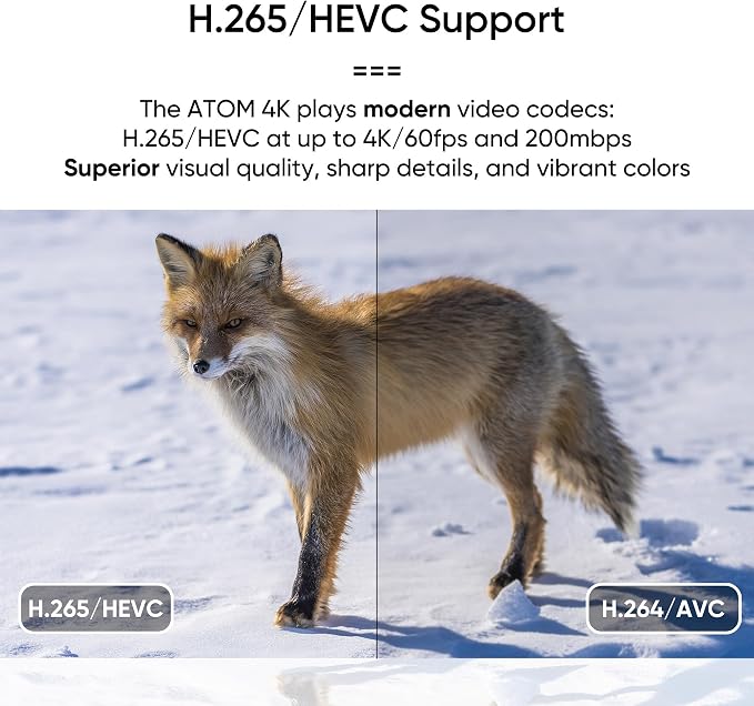 NEUMI Atom 4K Ultra-HD Digital Media Player for USB Drives and SD Cards - Plays 4K/UHD 60fps Videos, HEVC/H.265, HDMI and Analog AV, Automatic Playback and Looping Capability