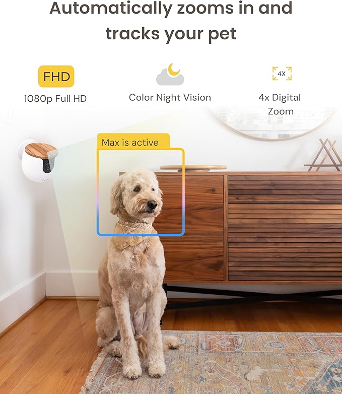 Furbo Mini Pet Camera: Basic See & Talk Features, No AI Alerts, No Subscription Required, Pet Security Cam w/Barking/Meowing Alerts, Rotating View, 2-Way Audio, Smart Home Monitoring