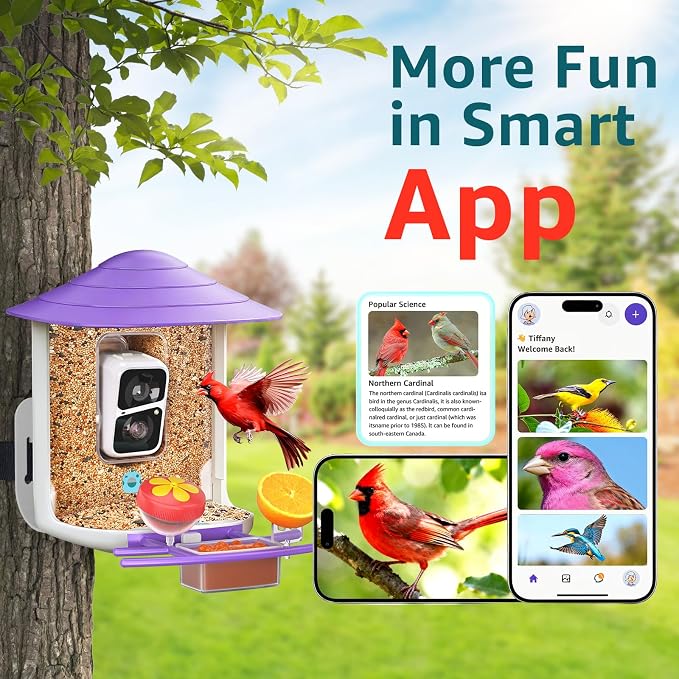 birdsnap® TUC Bird Feeder with Camera 2K HD Live with 32GB Card Auto Detect & Notify AI Identify Camera Birds Feeders Solar Powered Wireless Outdoors Backyard Gift for Mom Dad Birds Lover, 2.4G WiFi