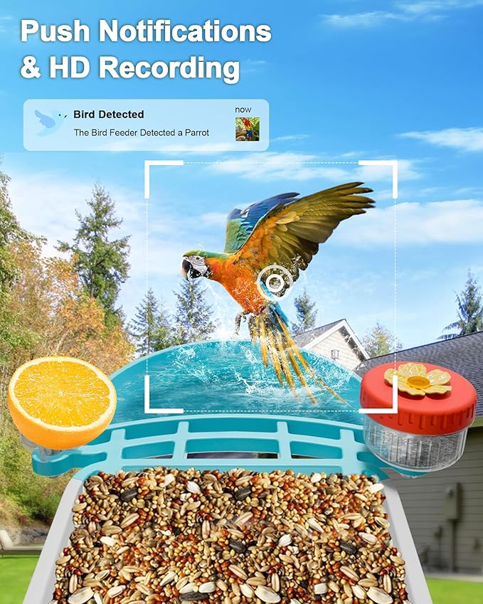 VISIOGEAR 2-in-1 Smart Wild Bird Feeder & Bath with 4K HD Camera, AI Identification Solar Bird Feeder Watching Camera Night Vision for Outdoor Birds Watching Gifts for Birdlover, Blue
