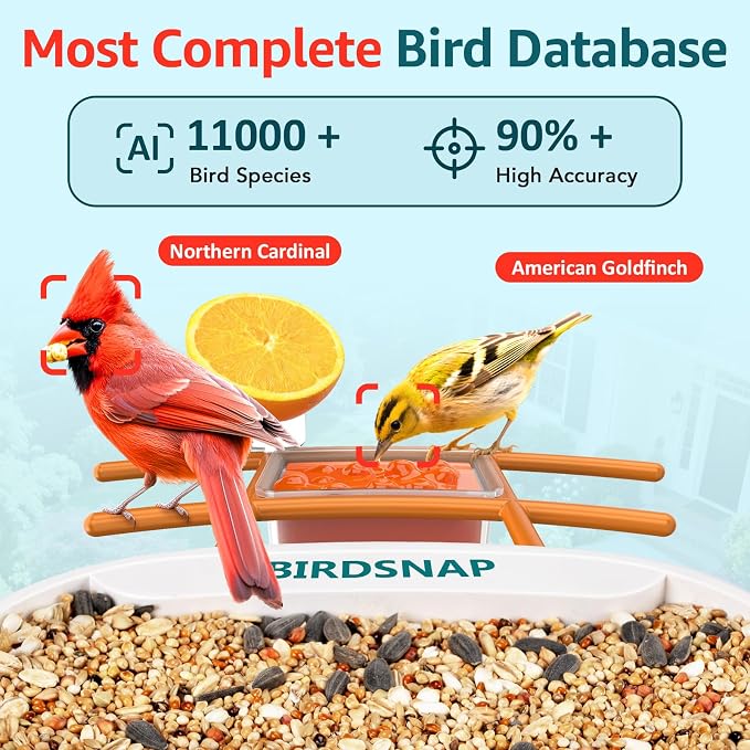 birdsnap® TUC Bird Feeder with Camera 2K HD Live with 32GB Card Auto Detect & Notify AI Identify Camera Birds Feeders Solar Powered Wireless Outdoors Backyard Gift for Mom Dad Birds Lover, 2.4G WiFi