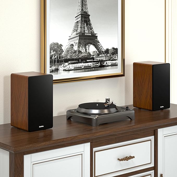 Saiyin Bluetooth Bookshelf Speakers, 40W X 2 Powered TV Speakers with 4 Inch Woofer, Turntable Speakers with Optical/AUX Input/Subwoofer Line Out for PC and TVs | 40W*2, 4 Inch Woofer, Bluetooth/Optical/AUX/RCA Input,Sub Out, TV/Turntable/Record Player...