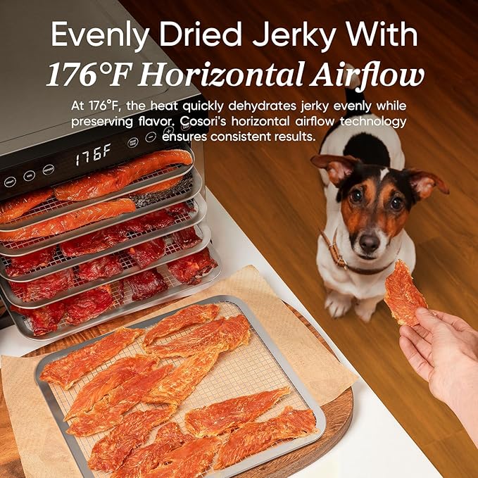 Cosori Food Dehydrator for Jerky, 176°F Temperature Control, 5 Stainless Steel Trays with 3.1 ft² Drying Space, 4 Presets, 48H Timer, for Dog Treats, Meat, Fruit, Veggies, Snacks, Bright-Silver