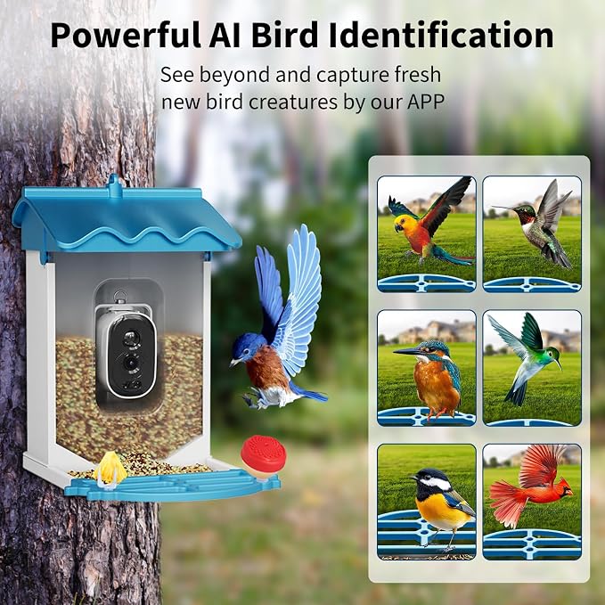 GarveeLife Smart Bird Feeder with 2K Camera & AI Recognition - Solar Powered, 2l Capacity, Night Vision, App Alerts, Auto Capture Photos/Videos for Bird Watching (Blue)